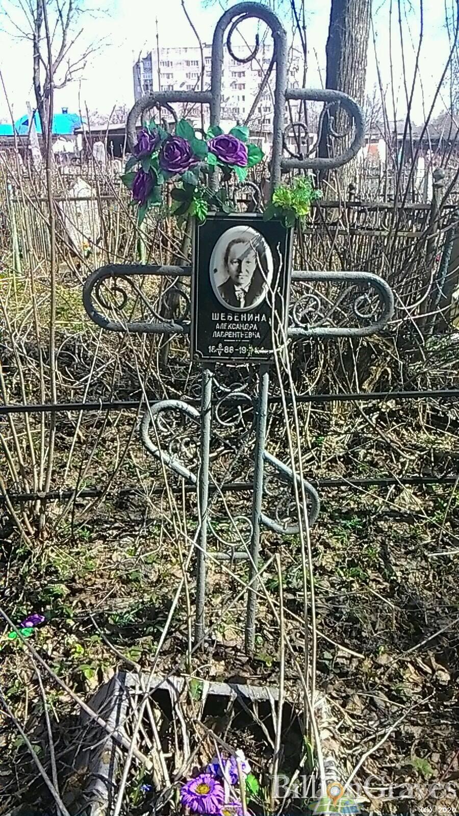 Шевенина Александра Лаврентьевна