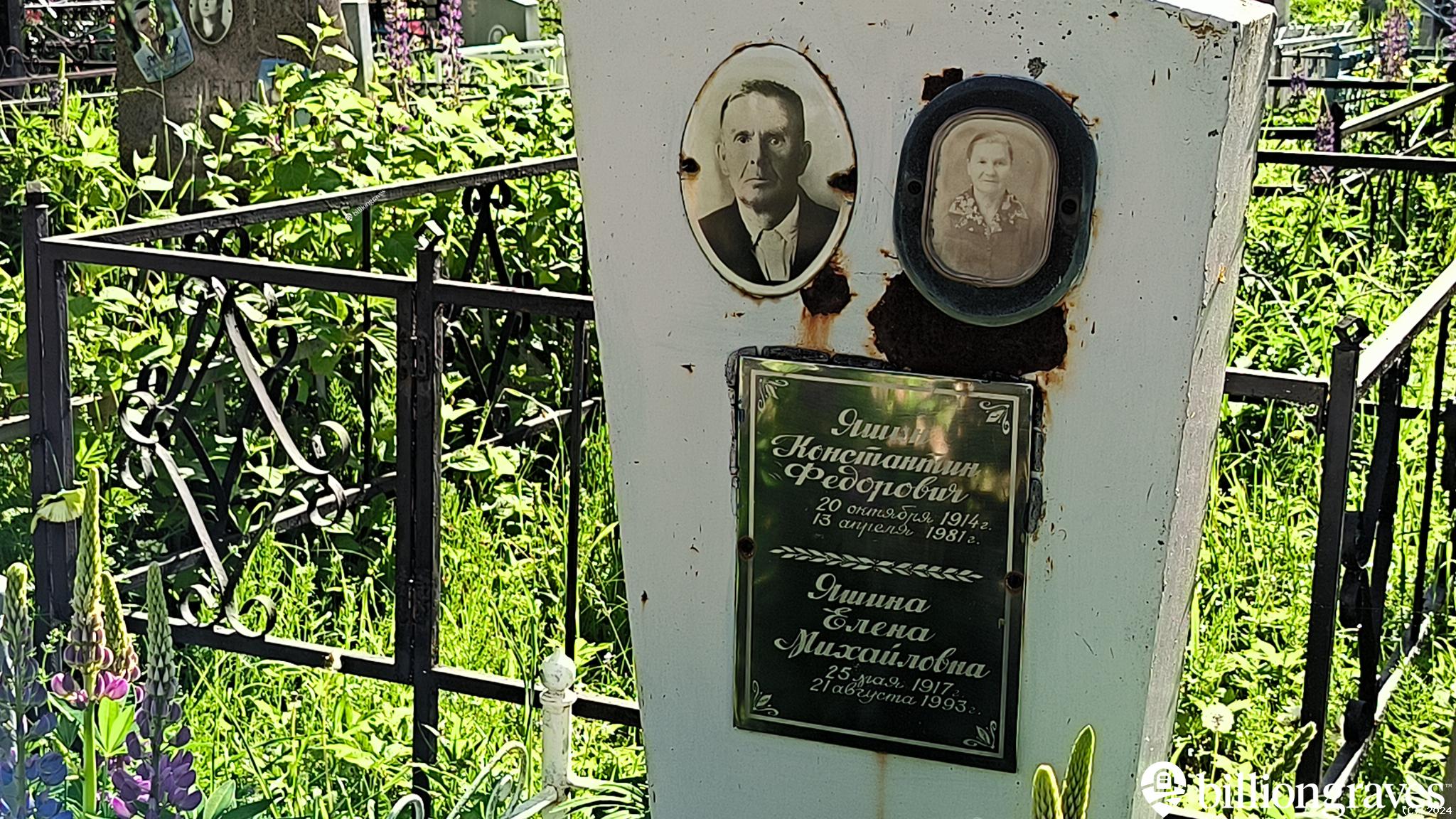 Яшина Елена Михайловна