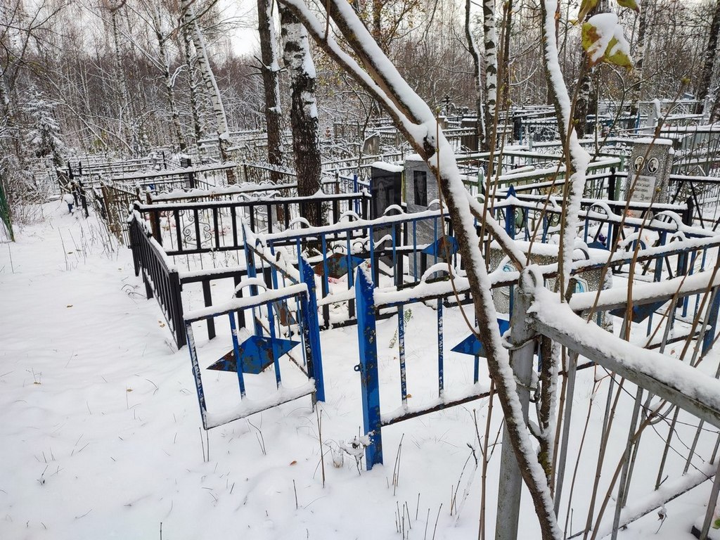 Соев Николай Александрович