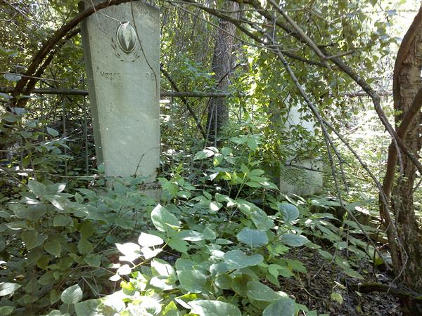 Волкенштейн В. Л.