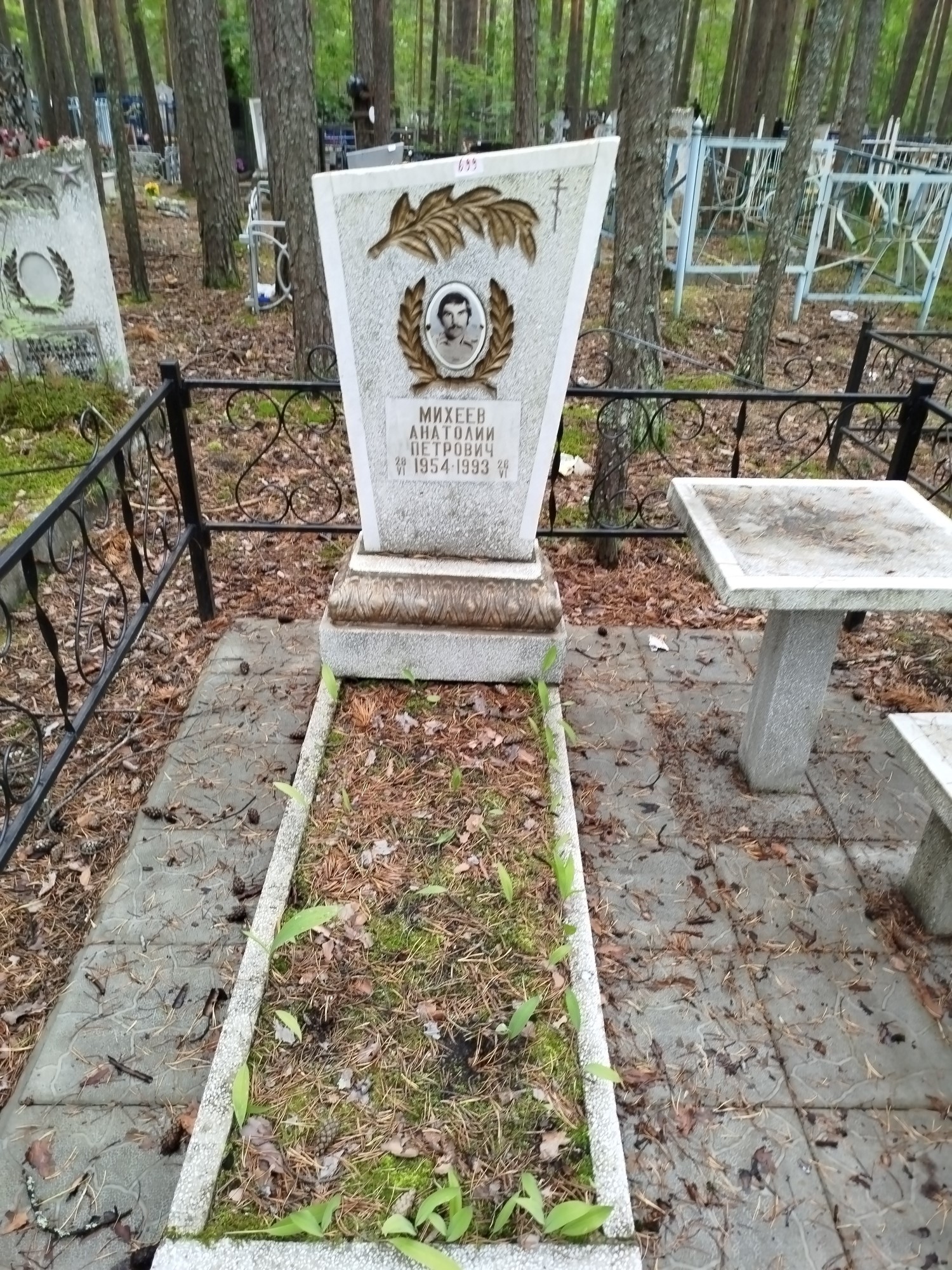 Михеев Анатолий Петрович