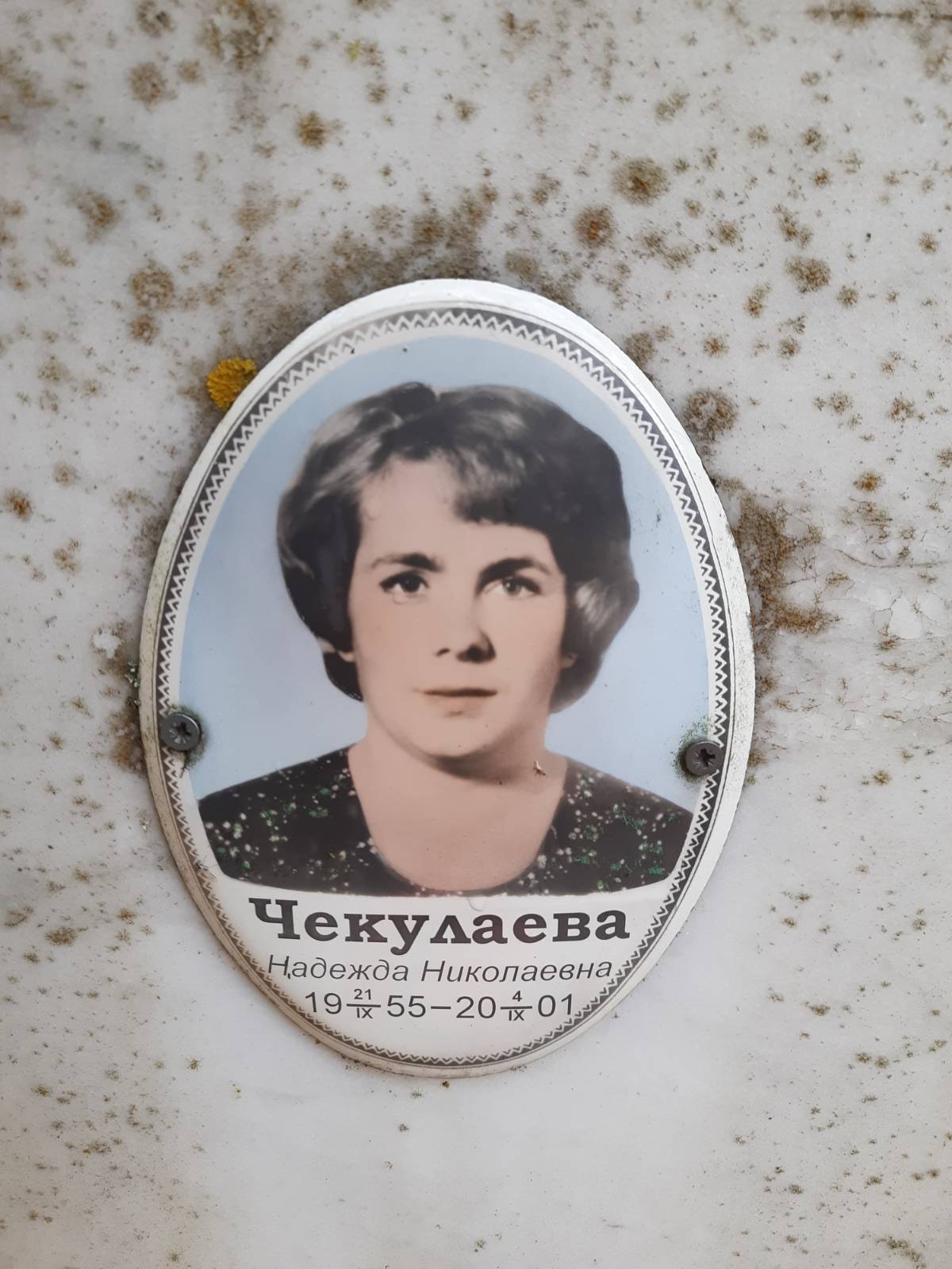Чекулаева Надежда Николаевна