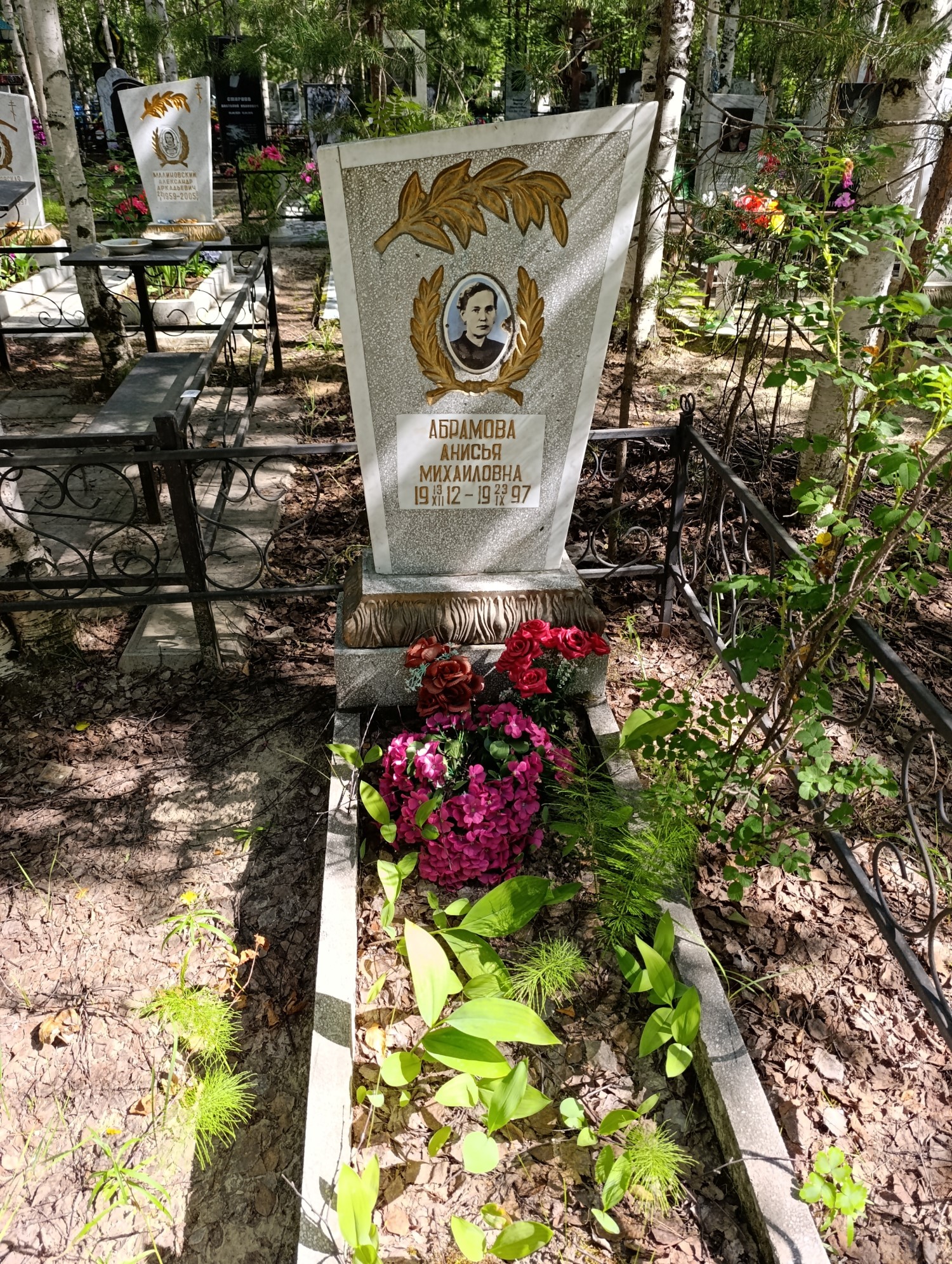 Абрамова Анисья Михайловна