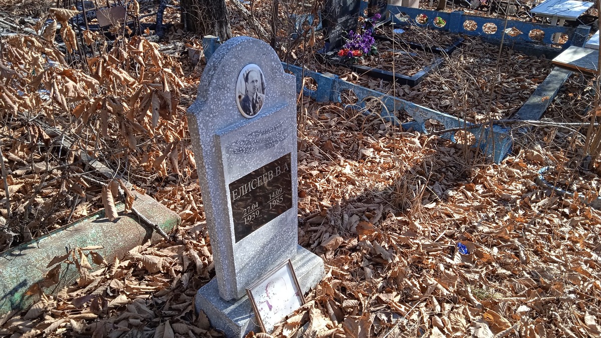 Елисеев В А