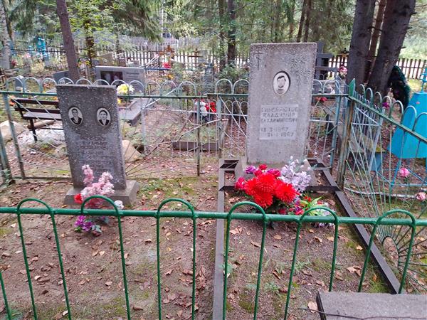 Синебрюхов Владимир Владимирович
