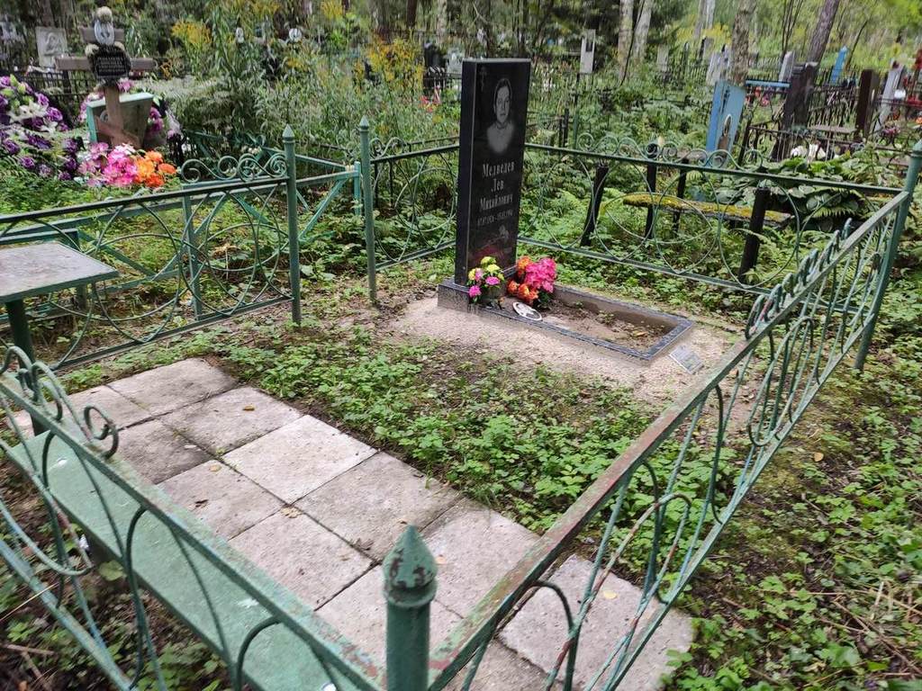 Медведев Лев Михайлович