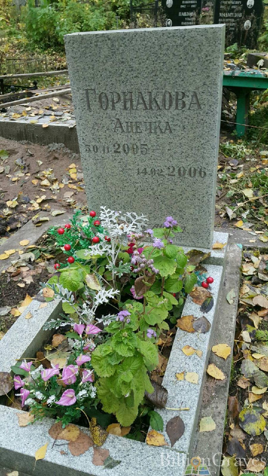Горнакова Анна
