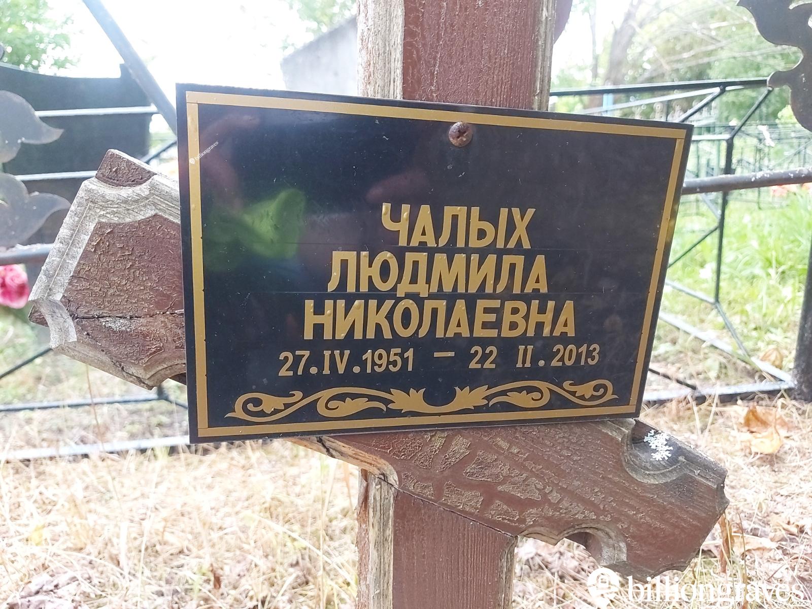 Чалых Людмила Николаевна