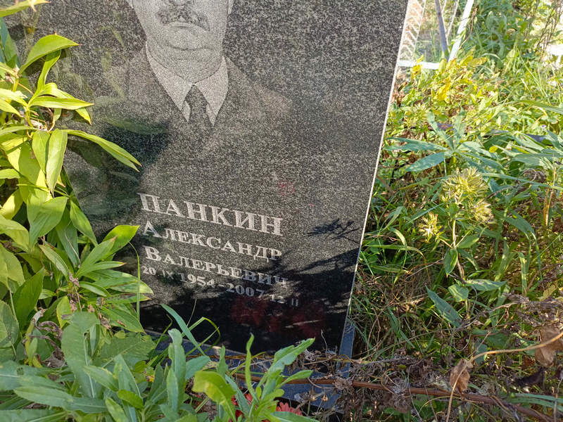 Панкин