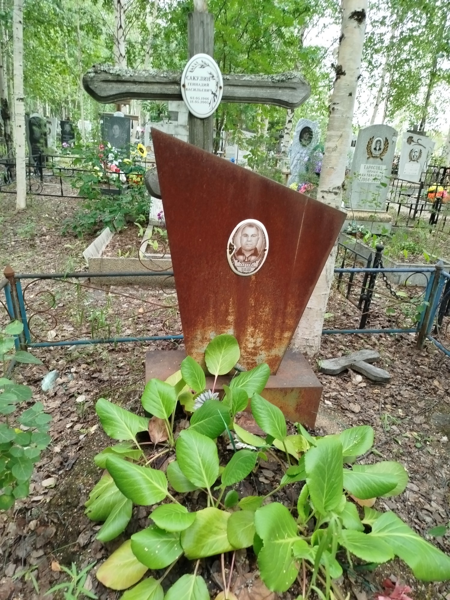 Сакулин Геннадий Васильевич