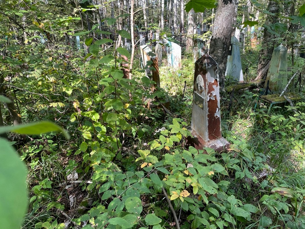 Казнин Николай Сергеевич