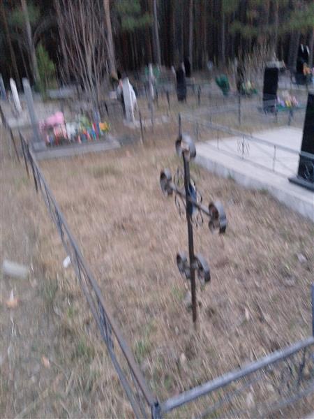 Синельников Дмитрий Николаевич