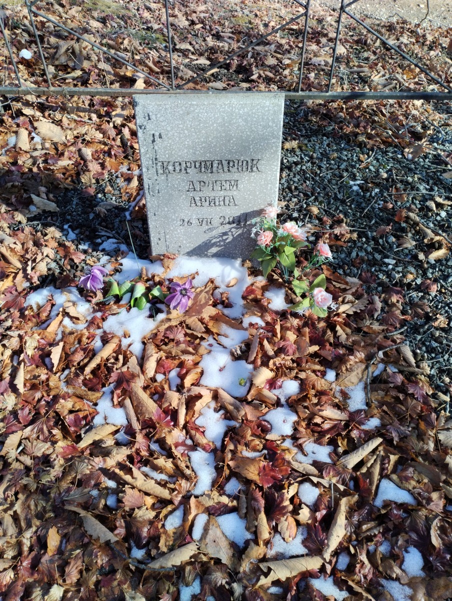 Корчмарюк Арина