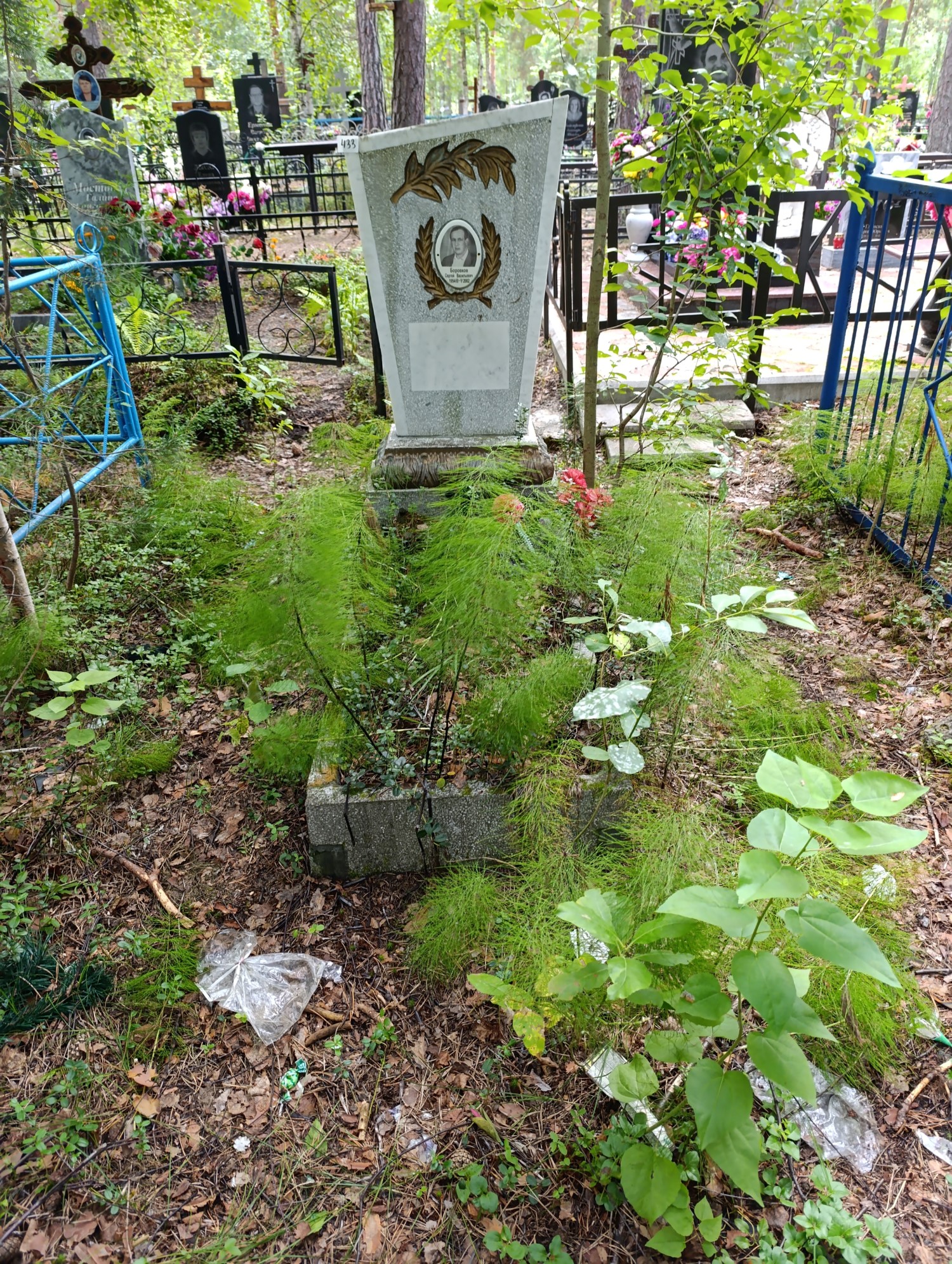 Боровков Сергей Васильевич