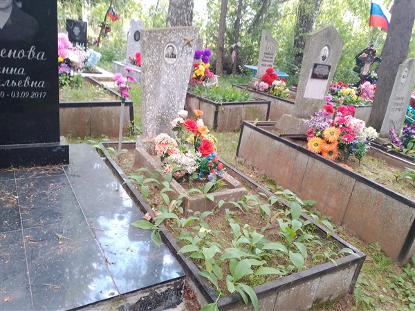 Мезенов Владимир Петрович