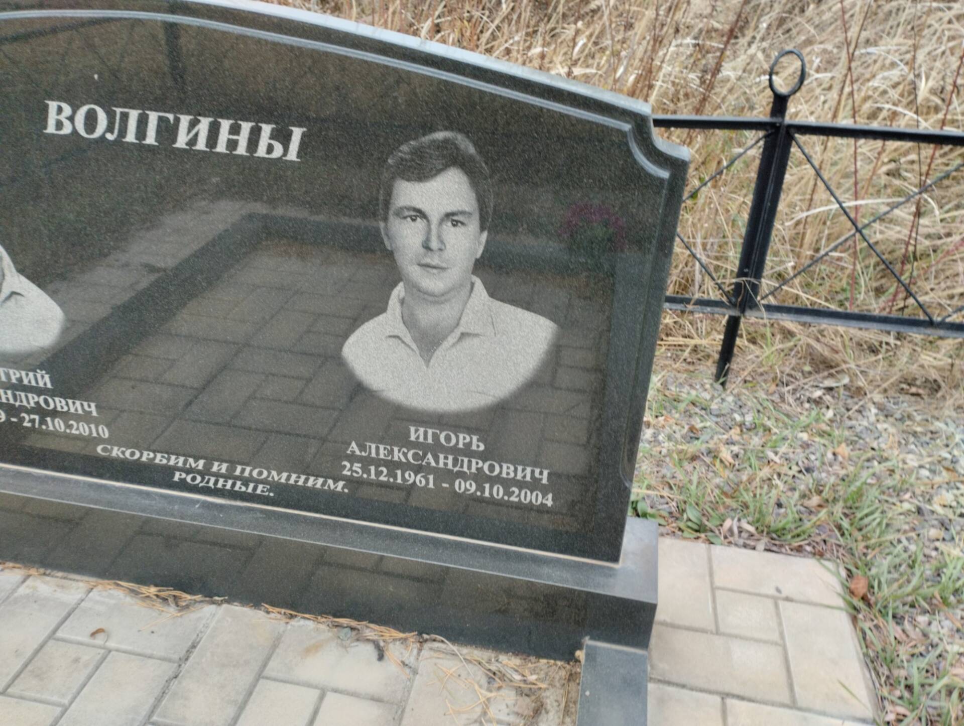 Волгин Дмитрий Александрович