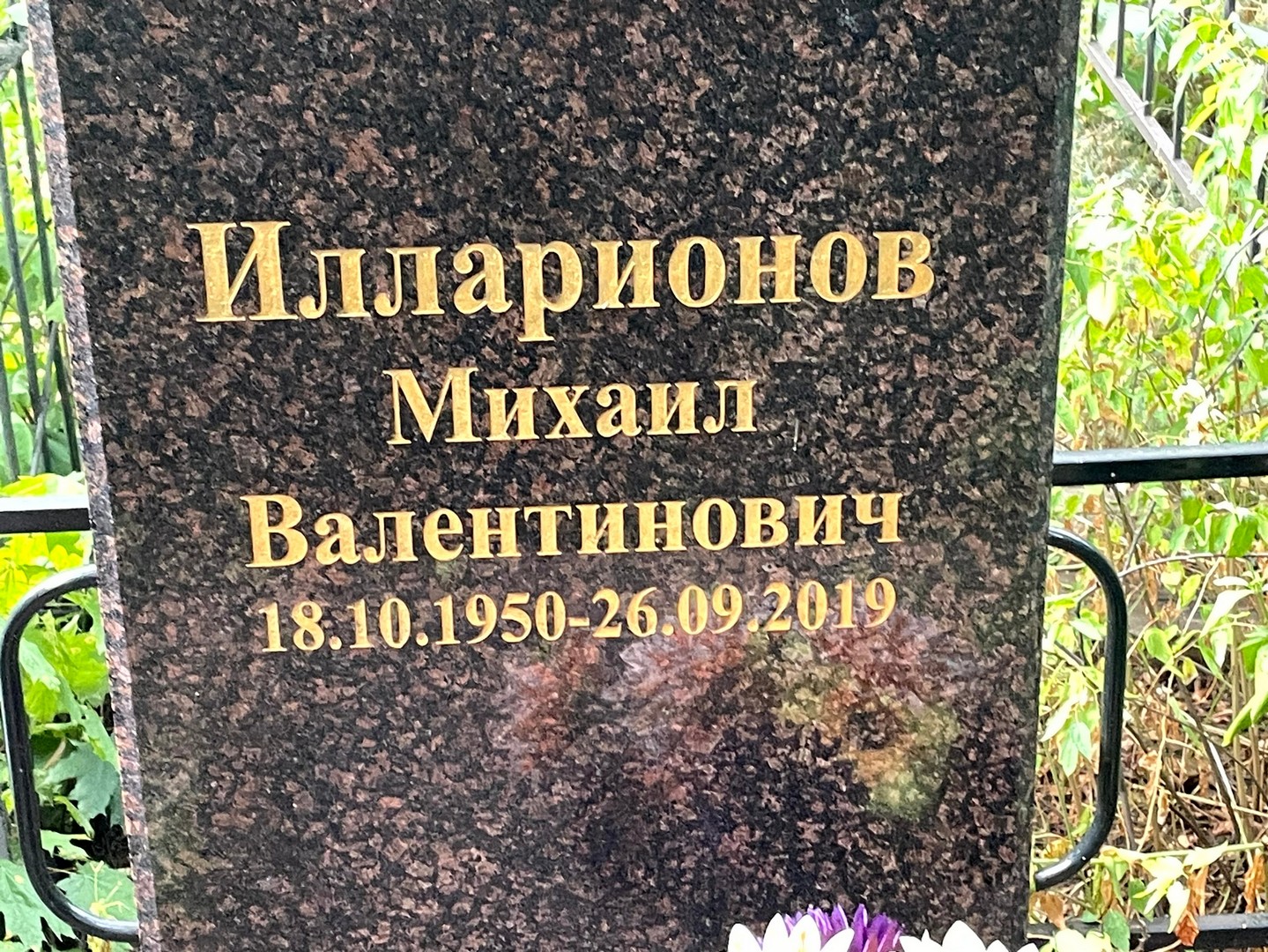 Илларионов