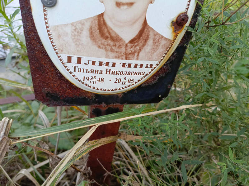 Плигина