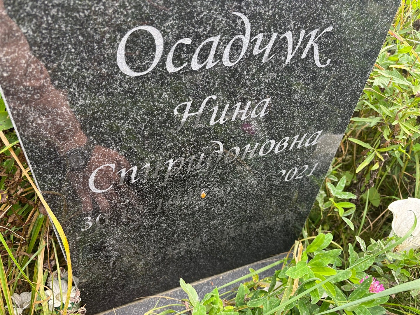 Осадчук
