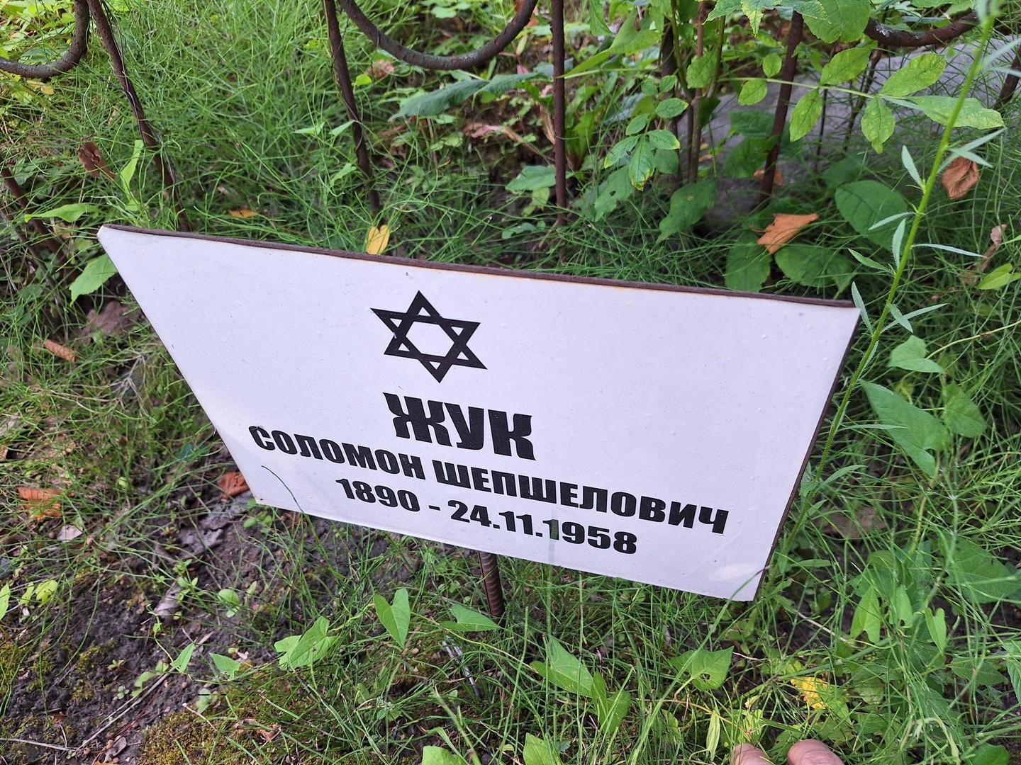 Соломон Жук Шепшелович
