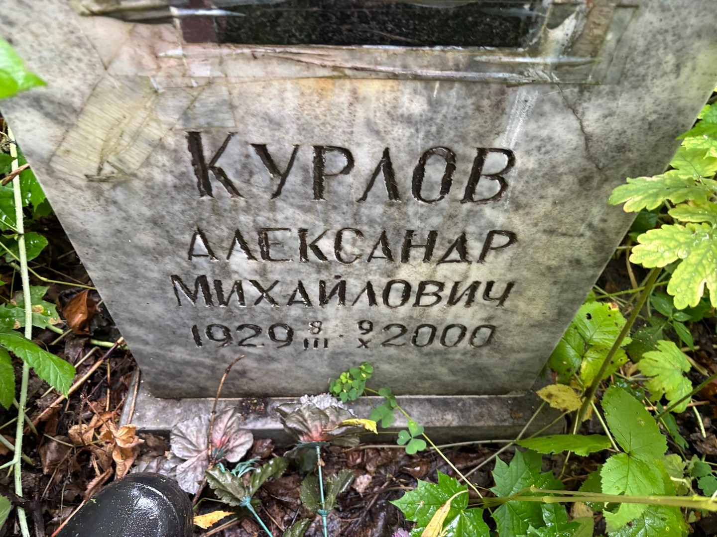 Курлов