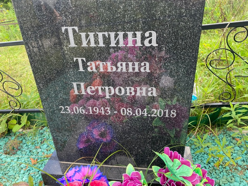 Тигина