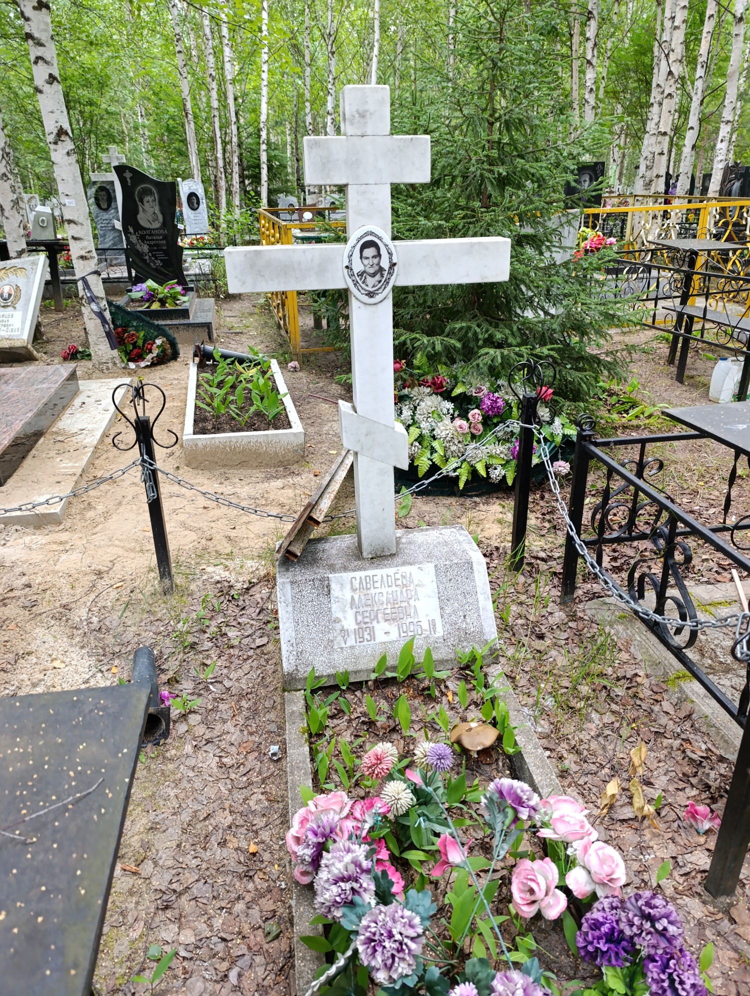 Савельева Александра Сергеевна