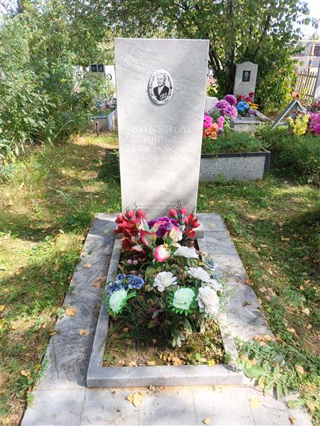 Викулов Николай Александрович