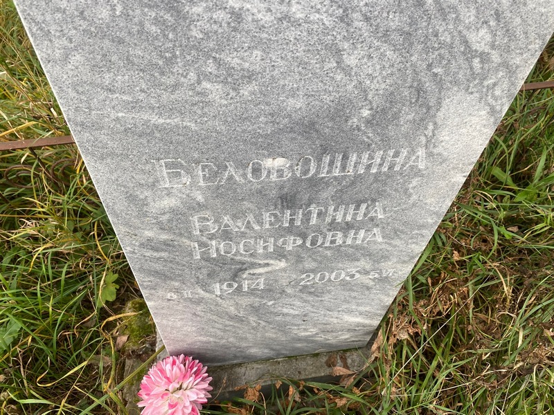 Беловошина
