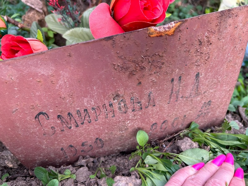 Н. Смирнова Д.