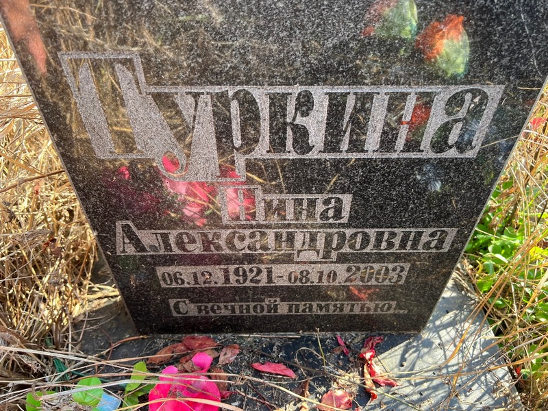Туркина