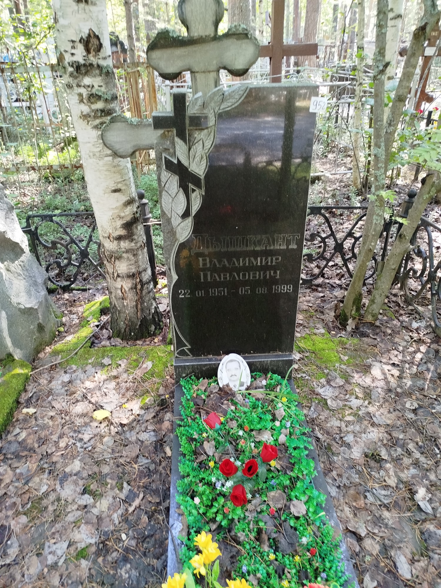 Дышкинант Владимир Павлович