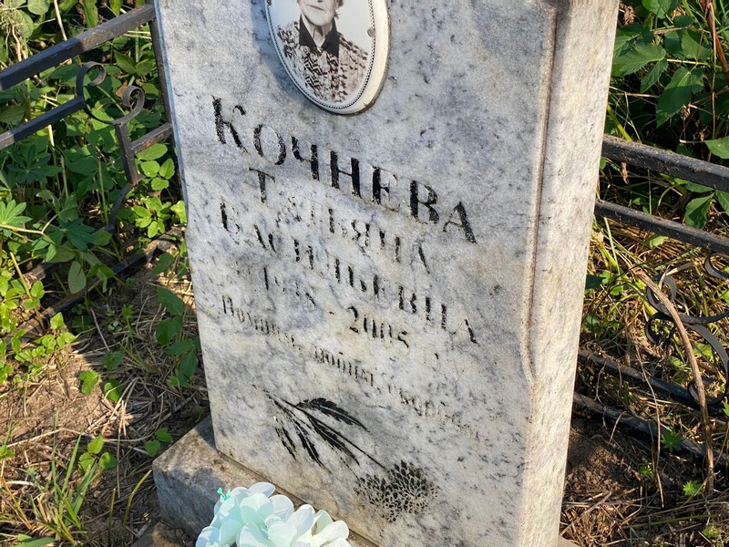 Кочнева