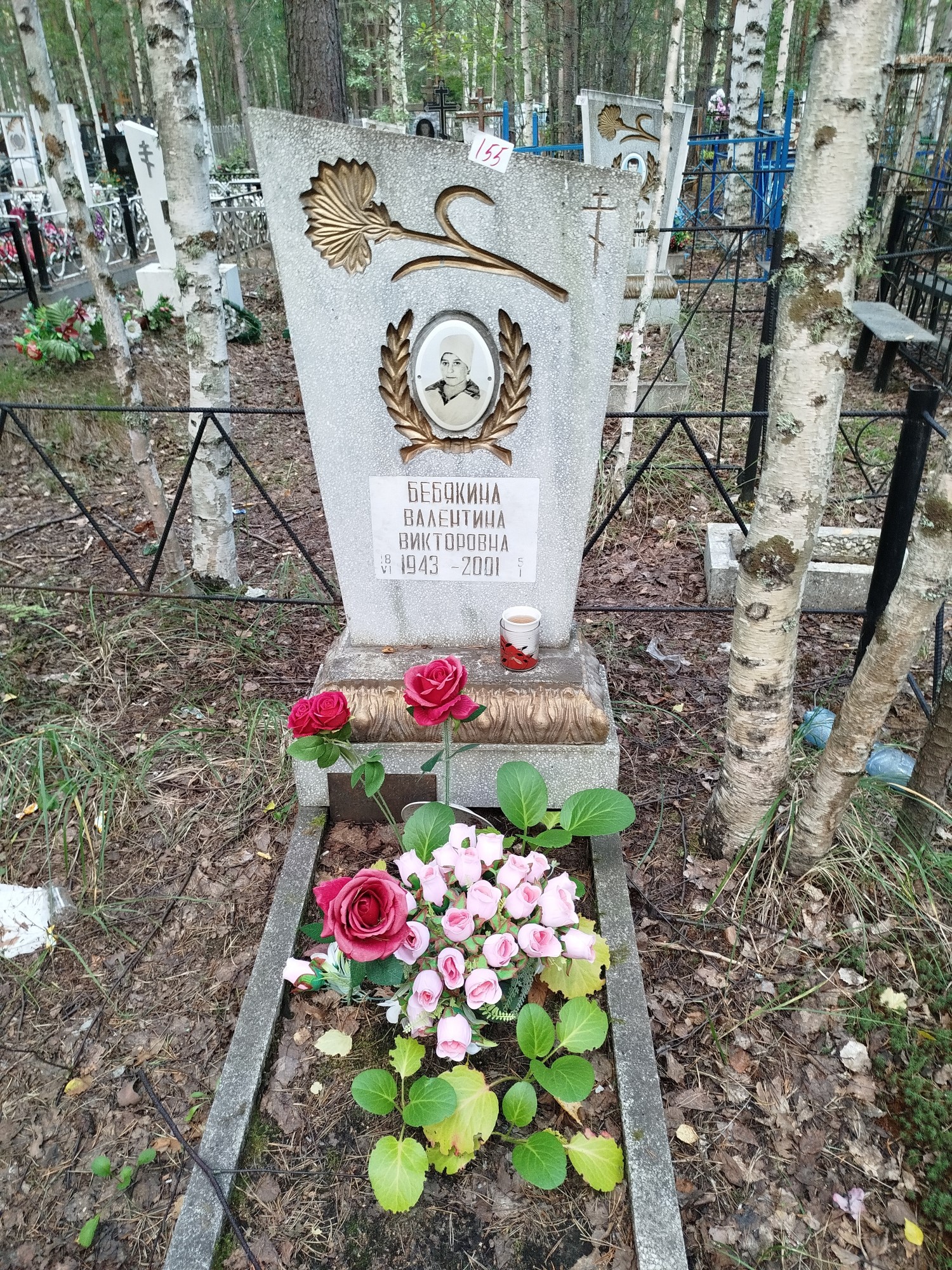 Бебякина Валентина Викторовна