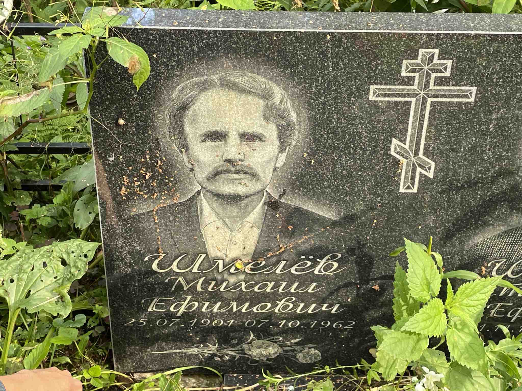 Шпилёва Стефанида Ефимовна