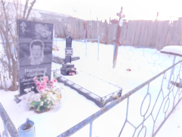 Нагибина Любовь Валентиновна