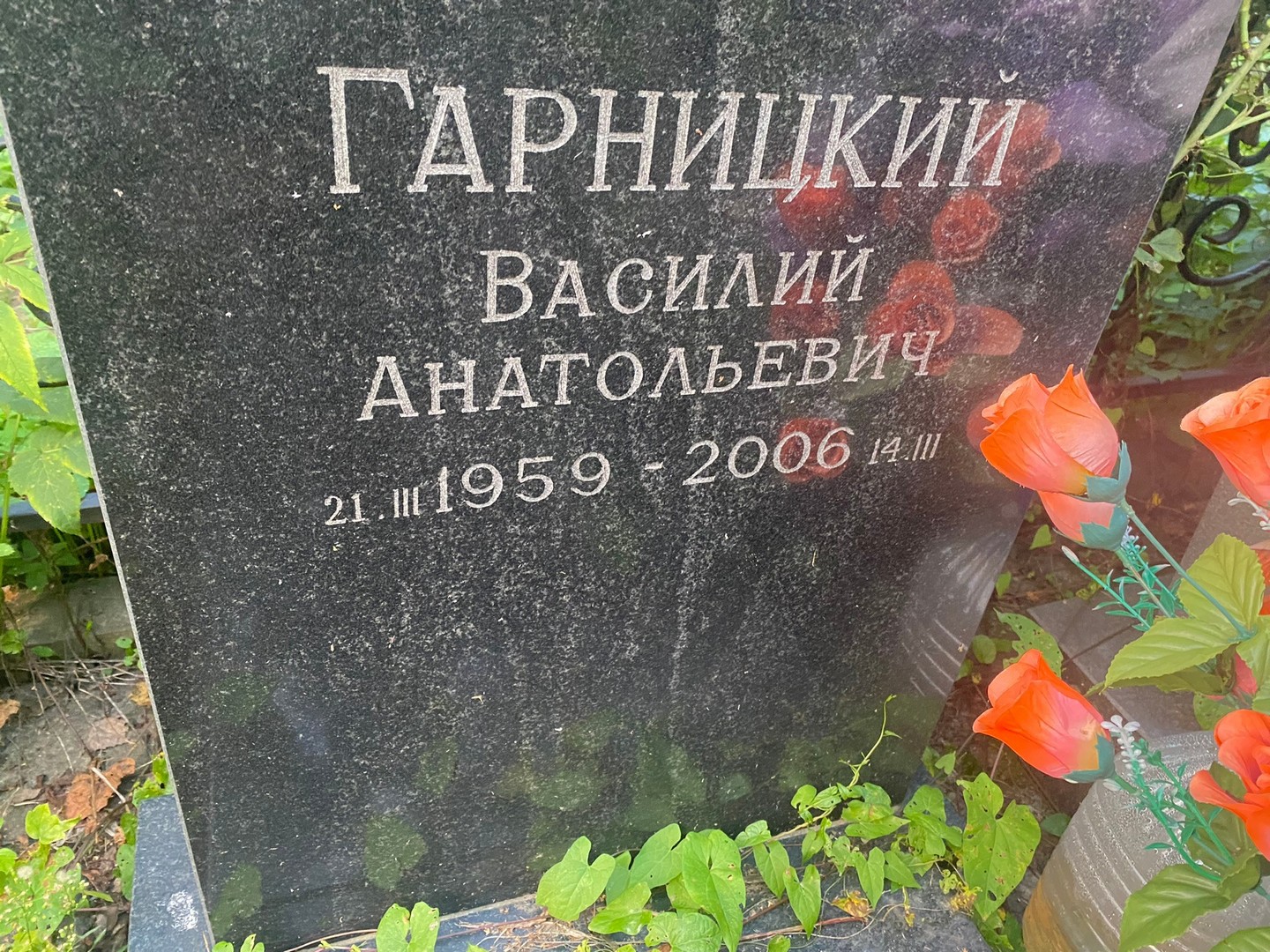Гарницкий