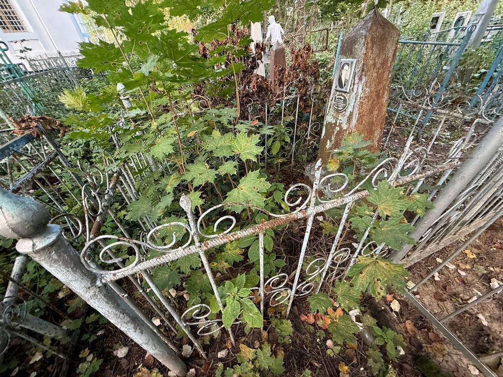 Кураженков Николай Николаевич