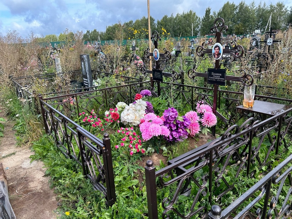 Бозин Николай Федорович