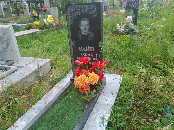Вайн Валерий Владимирович