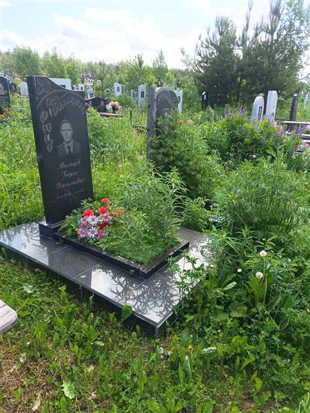 Мальцева Надежда Геннадьевна