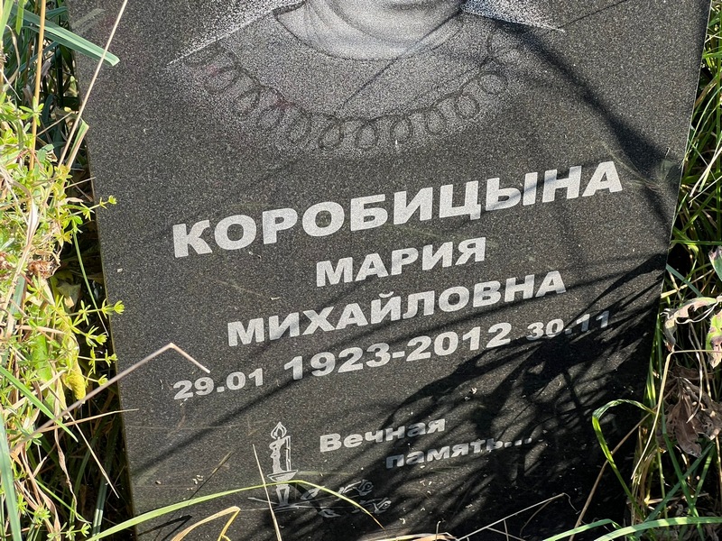Коробицына
