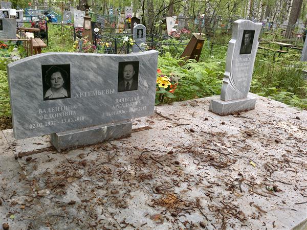 Артемьев Вячеслав Аркадьевич