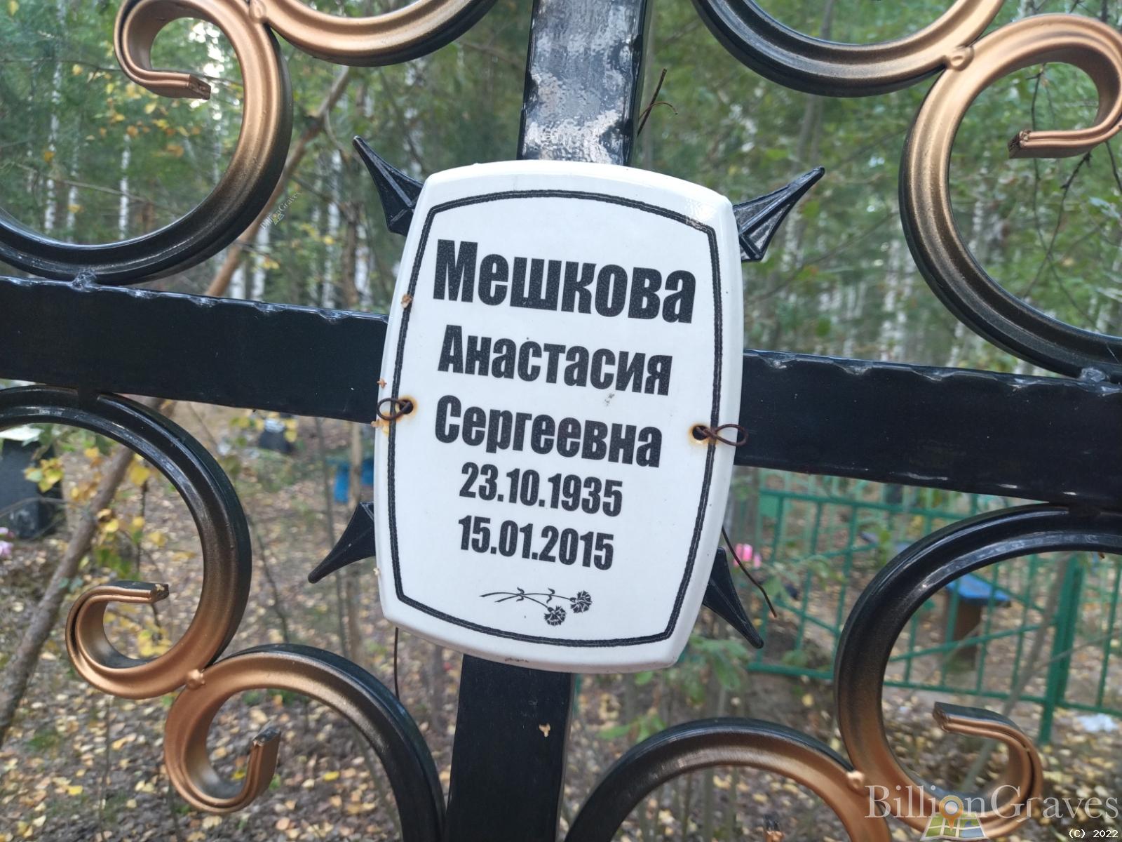 Мешкова Анастасия Сергеевна