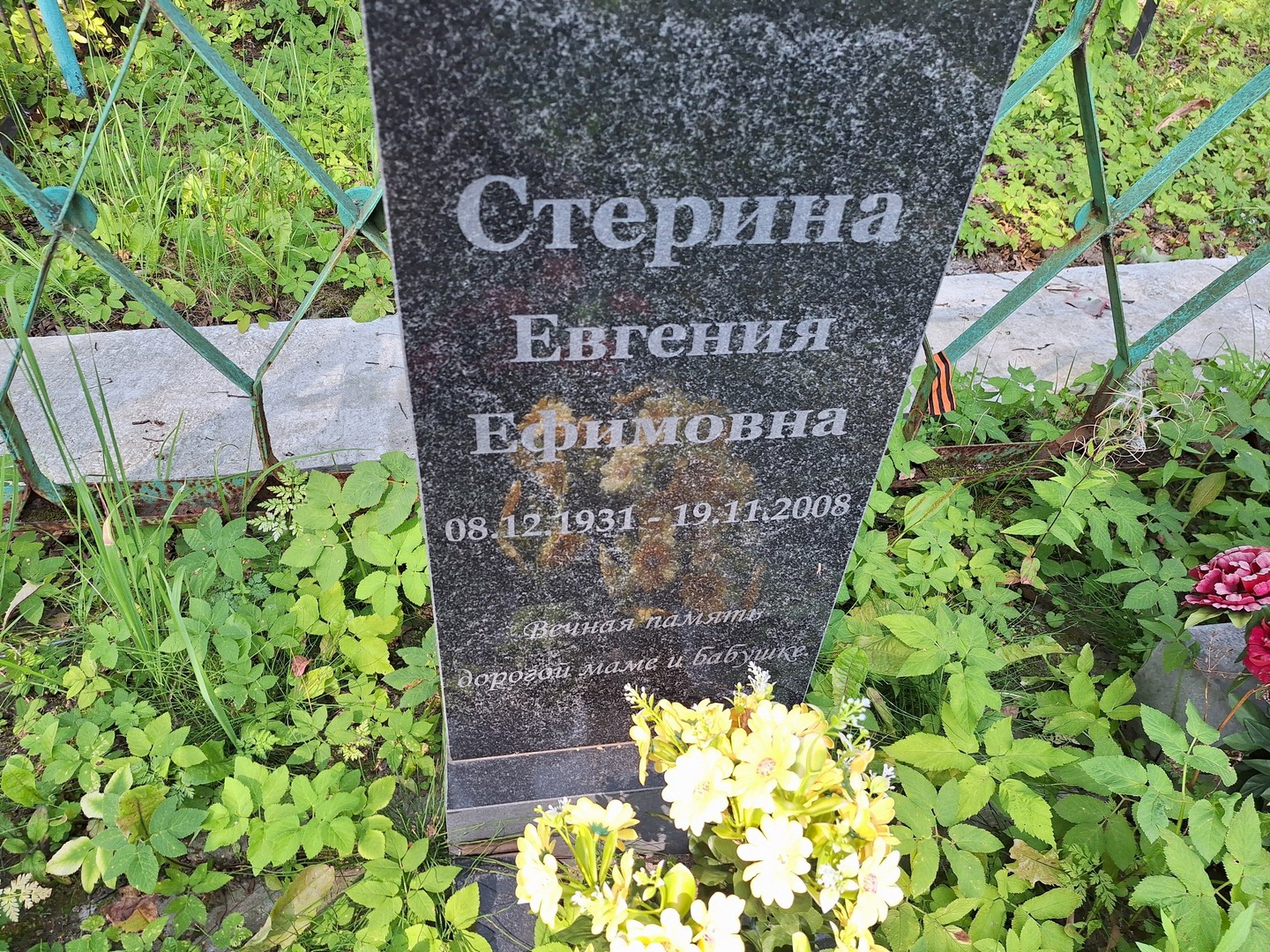 Стерина Евгения Ефимовна