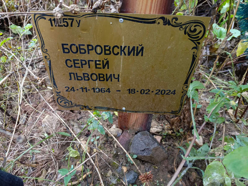 Бобровский