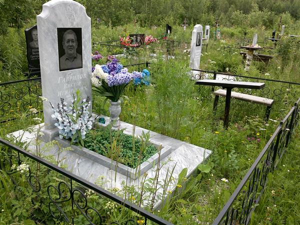 Гаврилов Виктор Игнатьевич