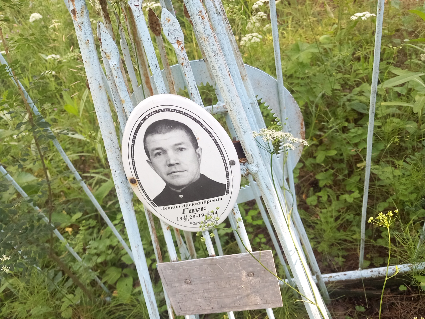 Гаук Леонид Александрович