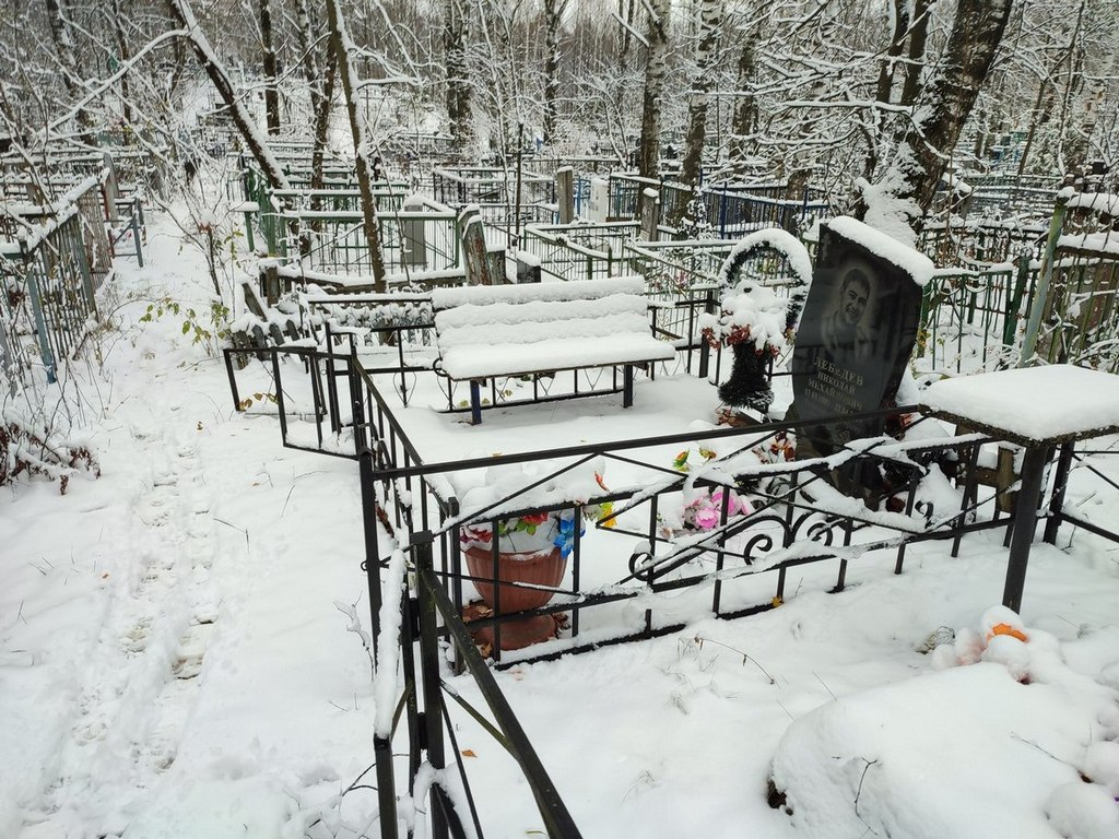 Лебедев Николай Михайлович