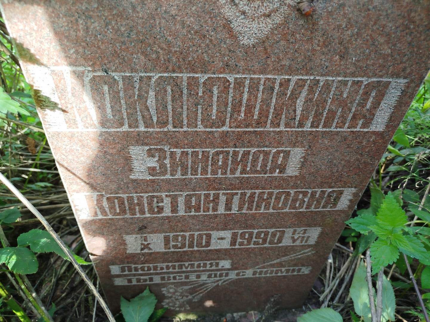 Коклюшкина